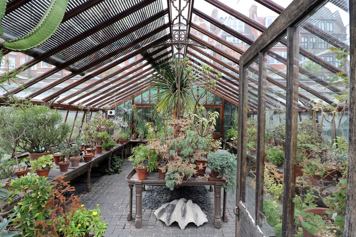 Chelsea Physic Garden