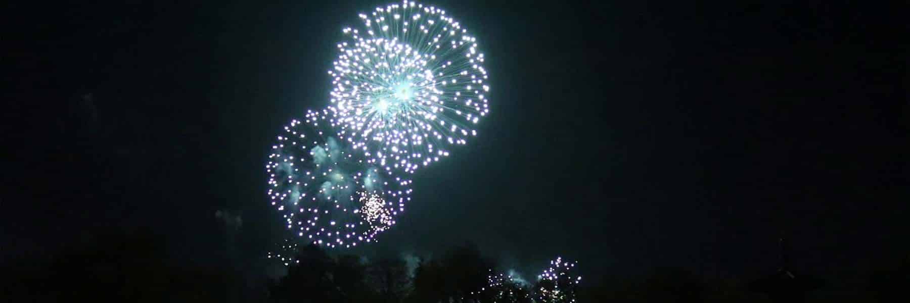 Battersea Park Fireworks Display