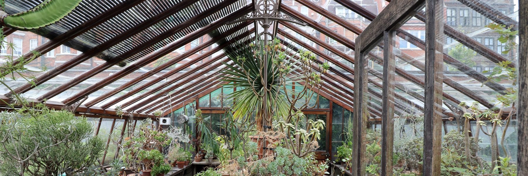 Chelsea Physic Garden