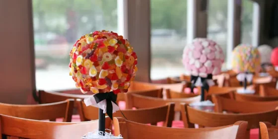 Celebraciones a bordo del M.V Avontuur IV