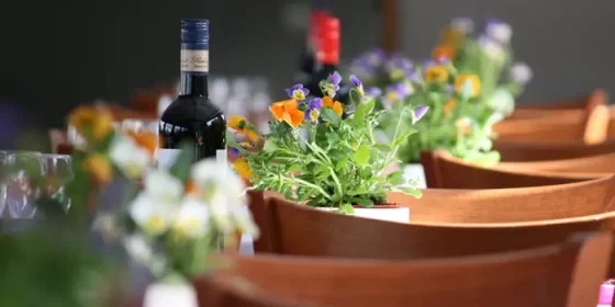 Viscount Cruises Private Charters