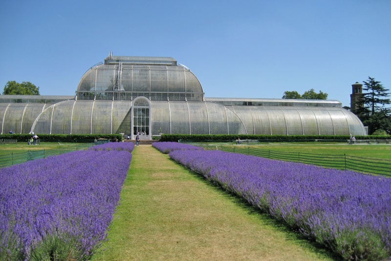 The Palm House, Royal Botanic Gardens Kew, London Borough of Richmond on Thames